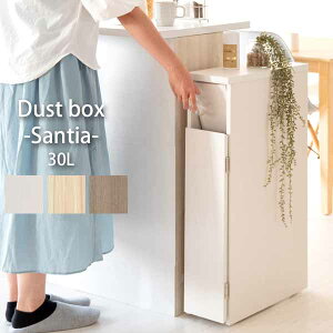 S~ ؐ X _Xg{bNX Santia 17cm DB-F170  30L RpNg ܉Ƌ Lb` rO