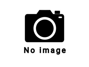 }L^@Wpzbp[@150mm@E@ʃJiՁ@16102307