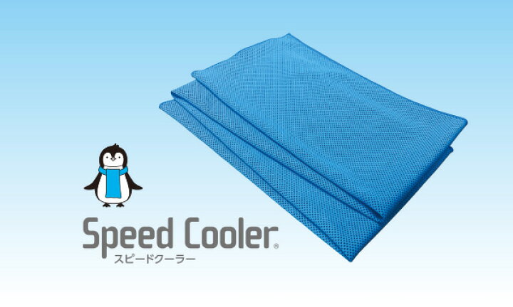 250円 期間限定お試し価格 SHOWA スピードクーラー 氷の山ができるスプレー 1本 品番 250円 期間限定お試し価格 SHOWA スピードクーラー 氷の山ができるスプレー 1本 品番