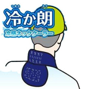 yMǑ΍zlbNN[[ ₩Ni߂낤jN11-66y ₷ ߂ \h  ^ubg wbg  ~  LfB[ ObY ACXobO X|[c h