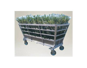 nbNX t[[v A~XeXtYR-1970y@llAlʓr d | ^C zC[  `[u ^`zZbg  XyA^C {X J