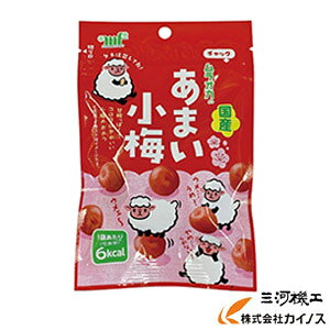 yMǑ΍z ܂~ 킠 N25-30 38g(1)×10 yŗy~ `[W ⋋ ~ ~ e  d AEghA ΍z
