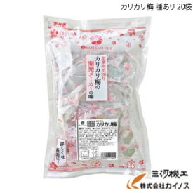 楽天市場 カリカリ梅 ダイエット 健康 の通販