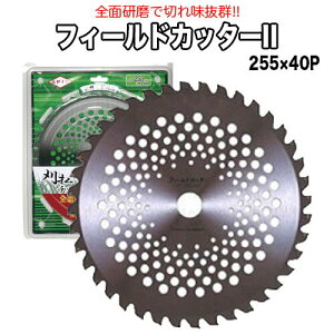 SPJR p`bv\[tB[hJb^[HF-255-2 1 y `bv\[  Ts[Xz