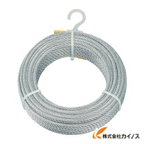 楽天市場】ワイヤーロープ 6mm 30mの通販