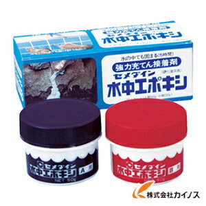 セメダイン 水中エポキシ 100gセット CA-152