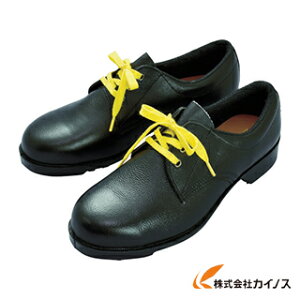 ~hS ÓdSC V251NÓd 25D0CM V251NS-25.0 V251NS25.0 y ʔ  lC i   z