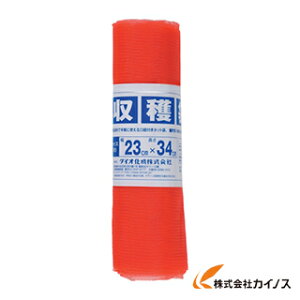 Dio n 2kgp 23cm×34cm 10 490474 y ʔ  lC i   z