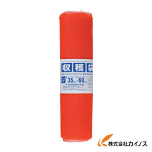 Dio n 10kgp 35cm×60cm 10 490504 y ʔ  lC i   z