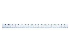 10 Cm ものさし 実寸