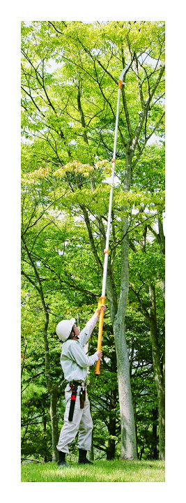 楽天市場】シルキー ハヤテ 4段 420mm 本体 ＜372-42＞ 【高枝切り 