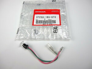 ~jg z_L[CWP[^[COMP LEDy|Xgցz