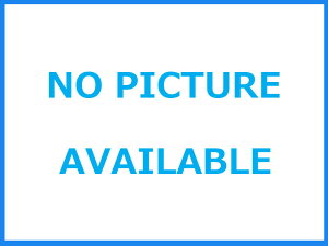 ~jg GROMO BIKERS[VOX^htbN