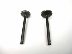 ミニモト タイプZシリンダーヘッド専用バルブセット【ポスト投函便】