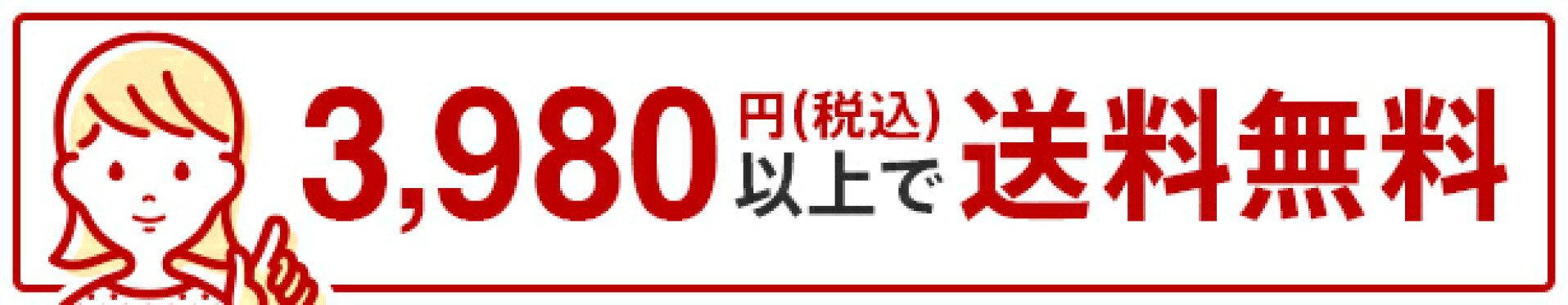 3980円(税込)以上で送料無料