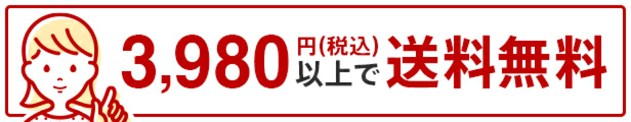 3980円(税込)以上で送料無料