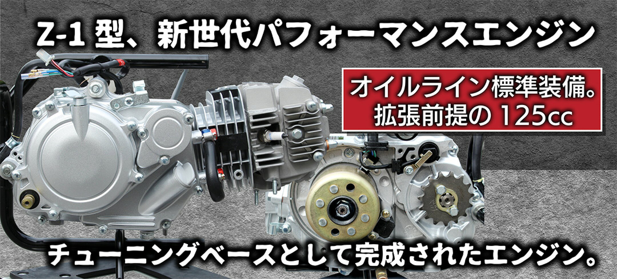 Z-1型パフォーマンスエンジン