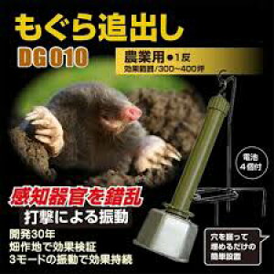 Oǂo@drtdg-010ۓ_ƁEƖp