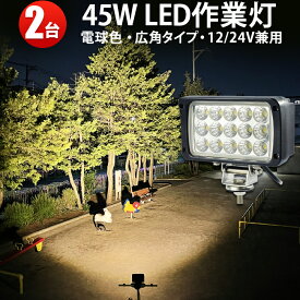 【2台】電球色　ledワークライト　3000k 45W　LED ワークライト 作業灯　LED集魚灯　304 ステンレス 45W 広角 拡散　ノイズ対策　LEDワークライト作業灯12v　24v兼用　1年保証　304ステンレスブラケット　ワークライト45w作業灯