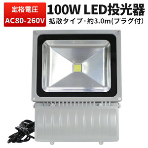 Ɠ  LED [NCg LED 100v 100W 1Nۏ؉ ET[`Cg Lp120x 100W T[`Cg100w