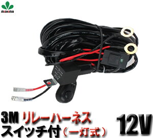 Ɠ LED HID XCb`t [n[lXiꓔ/񓔎jEWp /q[Yt 12vpz 1ėp tHOv [n[lX XCb`t/ nQ /[ z t wbhC