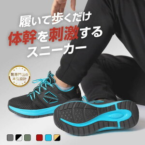 yzL 4E [Jbg Y Xj[J[ ^C EVOLVI G{r[ G{BEV-1001 EV-2002 bello xb Jp[ ̊ JWA EH[LOV[Y ubN O[ O[ 