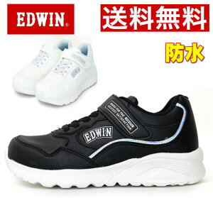 GhEB EDWIN h [Jbg y LbY WjA Xj[J[ C C EDW3675  ubN zCg JbvC\[   xN v[g qC ʋ 