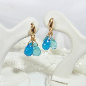 K18 lIu[Ap^Cg u[O[Ap^Cg sAX