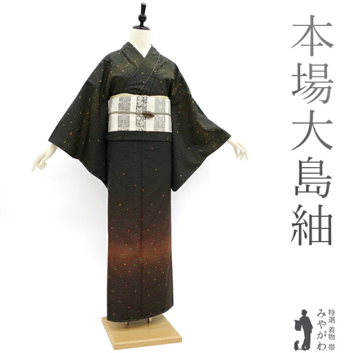 楽天市場】【新古品】 本場大島紬 未使用 訪問着 着物 大島紬 正絹 袷 
