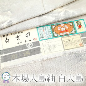 【中古】 すごい値！ 本場大島紬 白大島 リサイクル 袷 着物 身丈167 裄67 正絹 7マルキ カタス式 白吉祥 名匠たかし 白地 風景 寺 カジュアル 普段着 中古 仕立て上がり Lサイズ 販売 購入 綺麗 正絹 美品 春 秋 冬 すごいね みやがわ nek00432