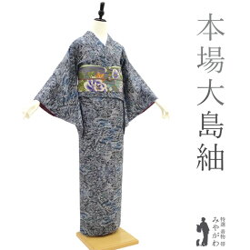 【中古】 本場大島紬 袷 着物 重井織物謹製 真穂呂羽 薩摩大島 真綿糸 ブルーグレー 楼閣 風景図 カジュアル 普段着 ショッピング 観劇 コンサート お散歩 販売 購入 リサイクル 美品 中古 仕立て上がり 身丈161 裄64.5 Mサイズ みやがわ sb12837