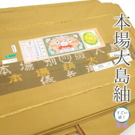 【中古】すごい値！本場大島紬 袷 着物 正絹 黄茶色 からし色 本場縞大島 春 秋 冬 美品 綺麗 カジュアル 中古 仕立て上がり 身丈162 裄67 M～Lサイズ すごいね みやがわ nek00899