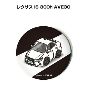 ʃobW L[z_[ ی^ 31mm 54mm  ԍD j [ IWi v[g Mtg LOi Y a ގ  O NTX IS 300h AVE30 