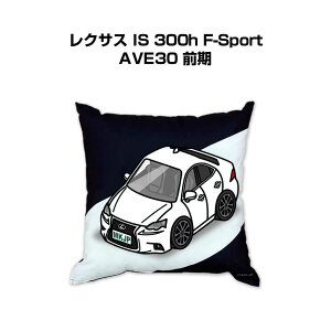 NbV ԍD v[g  Y a ގ Cxg NX}X j   O NTX IS 300h F-Sport AVE30 O 