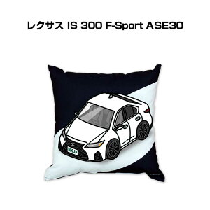 NbV ԍD v[g  Y a ގ Cxg NX}X j   O NTX IS 300 F-Sport ASE30 