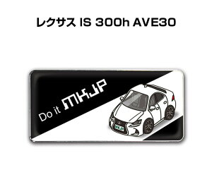 Gu 2@H25mm×W55mm Ԏ Vv hXAbv  ԓW O NTX IS 300h AVE30 