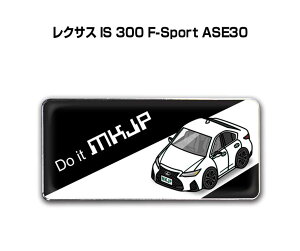 Gu 2@H25mm×W55mm Ԏ Vv hXAbv  ԓW O NTX IS 300 F-Sport ASE30 