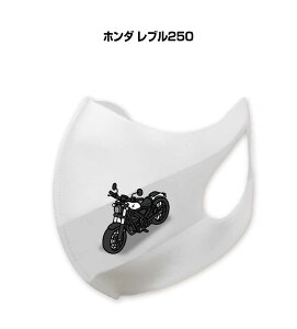 }XN 􂦂  { ԍD v[g  Y ގ j Vv  oCN z_ u250 