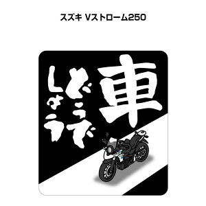 Ԃǂł傤 XebJ[ 2 jǂł傤 pfB  S^] hCu ԍD oCN XYL VXg[250 