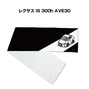 }t[^I 21×110cm ԍD v[g  Y a ގ Cxg [  io[ O NTX IS 300h AVE30
