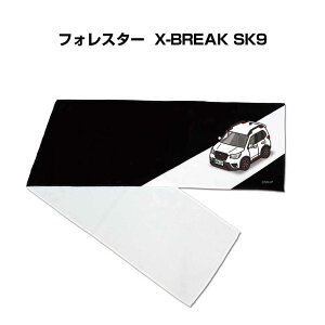 }t[^I 21×110cm ԍD v[g  Y a ގ Cxg [  io[ Xo tHX^[ X-BREAK SK9