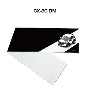 }t[^I 21×110cm ԍD v[g  Y a ގ Cxg [  io[ }c_ CX-30 DM