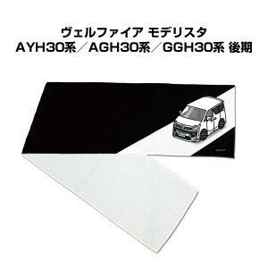 }t[^I 21×110cm ԍD v[g  Y a ގ Cxg [  io[ g^ Ft@CA fX^ AYH30n^AGH30n^GGH30n 