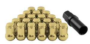 yz M12 × P1D25@19/21HEX h~Oibg ėpi yYԗp p}`\PbgtS[hibg 20 1SETz jbT/XYL/Xo [OEMԏ][ʎ]ywv^Sz