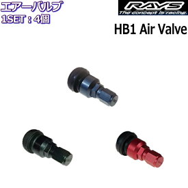 RAYS/レイズ エアーバルブ HB1バルブ 4個セット 正規品 レイズホイール専用