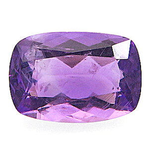 \[_Cg AXg[ [X 0.51ct p[vnbN}iCg UVŋIW̌u AtKjX^ QzW 5401