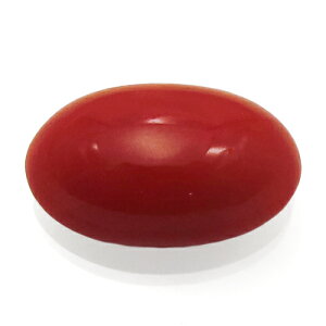 [X 󏭂 ԎX 9.99ct  {ߊC QzW 5548