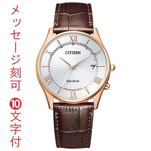 �V�`�Y�� �\�[���[�d�g���v CITIZEN �G�R�h���C�u �r���v �j���p �����Y AS1062-08A �v�o���h ������ ���O ���� 10�����t ���񂹕i�uc-ka�v �v�݌Ɋm�F