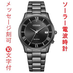 ������ ���� 10�����t �V�`�Y�� �\�[���[�d�g���v �����Y �r���v AS1064-53E CITIZEN �u���b�N�n ���񂹕i