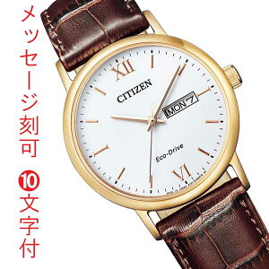 �� ���� ���O ���� 10�����t �V�`�Y�� �G�R�h���C�u �\�[���[ �r���v �����Y �j�� BM9012-02A CITIZEN �J�����_�[�t�� �v �o���h �x���g �u���E���n ���񂹕i�uc-ka�v